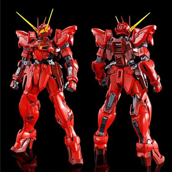 MG 1/100 Testament Gundam Gundam Seed