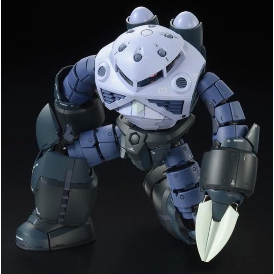Mobile Suit Gundam RG 1/144 Mass-Produced Z'Gok Premium Bandai Gunpla