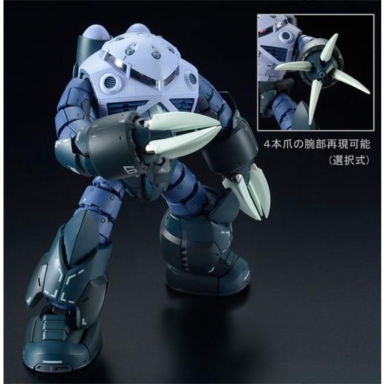 Mobile Suit Gundam RG 1/144 Mass-Produced Z'Gok Premium Bandai Gunpla