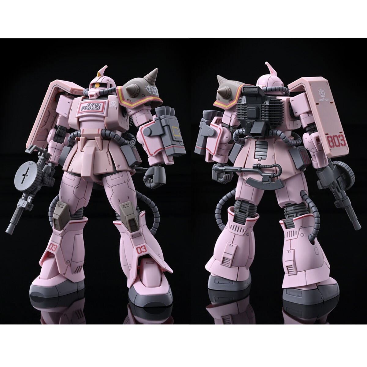 HG 1/144 Zaku Desert Type Pink Panther forces Premium Bandai Gunpla