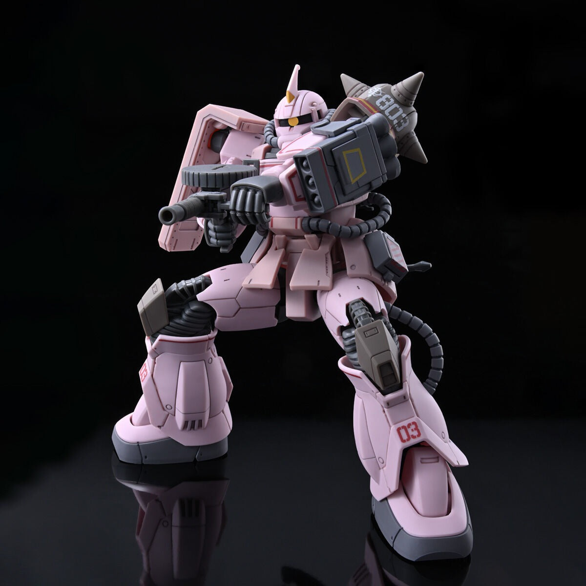HG 1/144 Zaku Desert Type Pink Panther forces Premium Bandai Gunpla