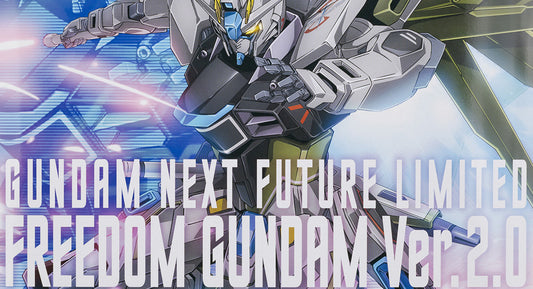 MG 1/100 Freedom Gundam Ver. 2.0 Real Type Color GUNDAM NEXT FUTURE Limited - Gunpla - Master Grade by Bandai Spirits
