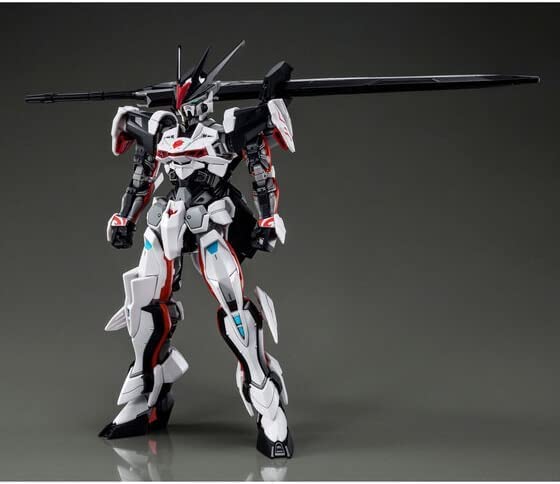 hg 1/144 road astray ω