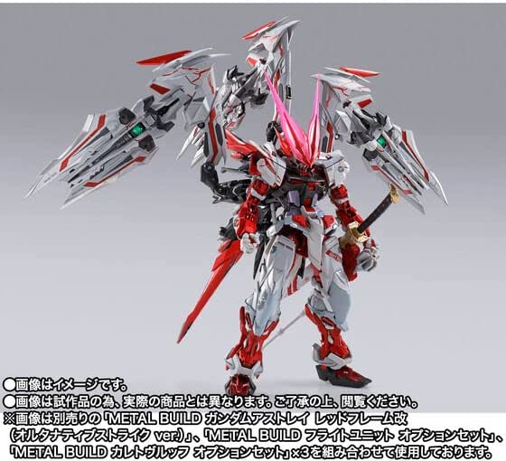 METAL BUILD Astray Righead Option Set
