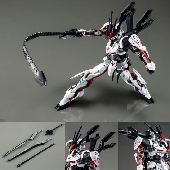 hg 1/144 road astray ω