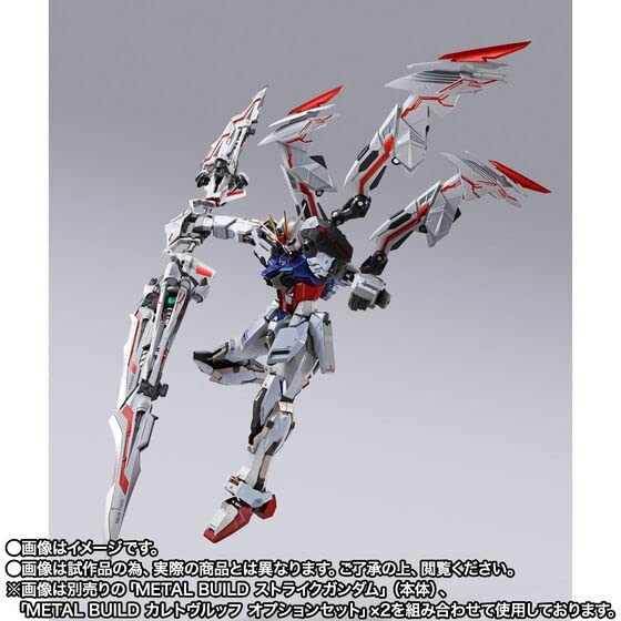 METAL BUILD Astray Righead Option Set