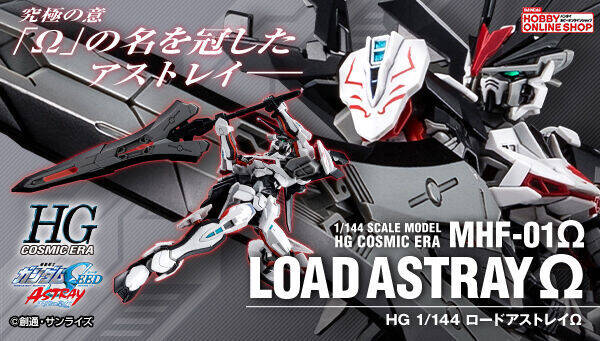 hg 1/144 road astray ω
