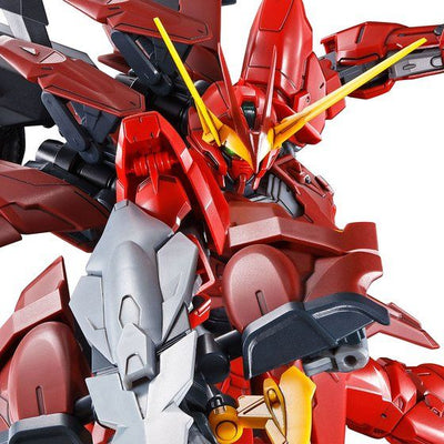 MG 1/100 Testament Gundam　Gundam Seed