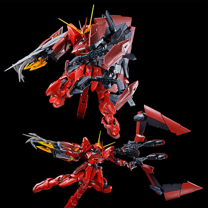 MG 1/100 Testament Gundam　Gundam Seed