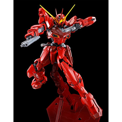 MG 1/100 Testament Gundam　Gundam Seed