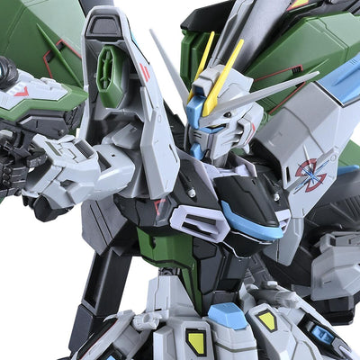 GUNDAM NEXT FUTURE Limited MG 1/100 Freedom Gundam Ver.2.0 (Real Type Color Ver.)