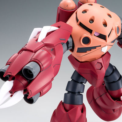 HG 1/144 Amazing Z'Gok Premium Bandai