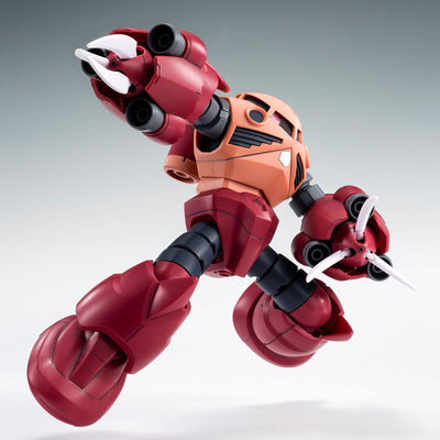 HG 1/144 Amazing Z'Gok Premium Bandai