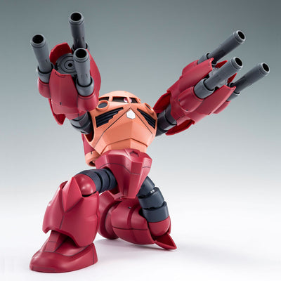 HG 1/144 Amazing Z'Gok Premium Bandai