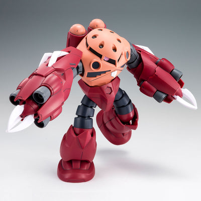 HG 1/144 Amazing Z'Gok Premium Bandai