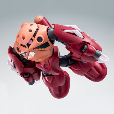 HG 1/144 Amazing Z'Gok Premium Bandai