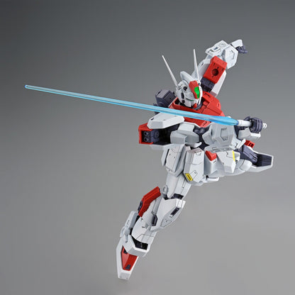 MG 1/100 F80 Gunraid Premium Bandai Gunpla