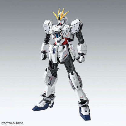 MG Mobile Suit Gundam NT Narrative Gundam C Equipment Ver.Ka 1/100 scale plastic model