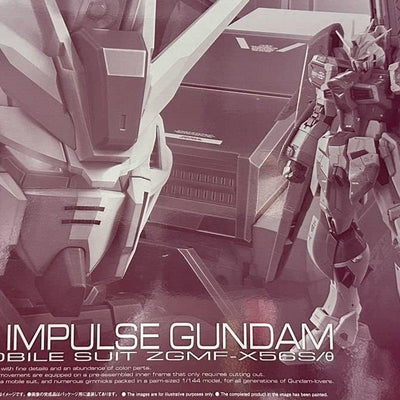 RG 1/144 Destiny Impulse GUNDAM　Premium Bandai