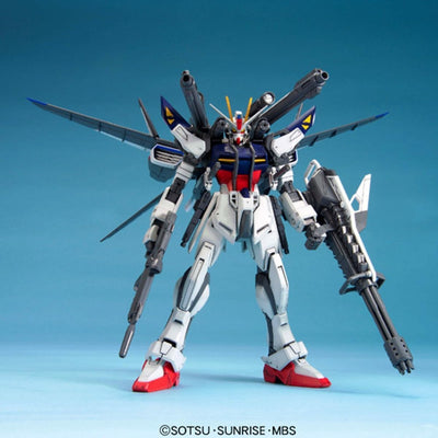 BANDAI NAMCO Entertainment MG Luka's Strike E+ IWSP Gundam Seed Astray