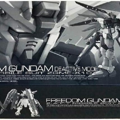 RG 1/144 ZGMF-X10A Freedom Gundam Deactive Mode  Premium Bandai Gunpla