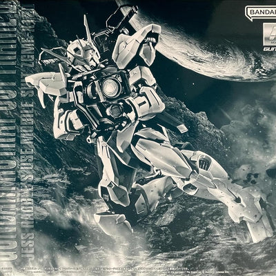 BANDAI MG 1/100 ZGMF-X12D Gundam ASTRAY Outframe D JESS RABBLE's USE Mobile Suit Gundam