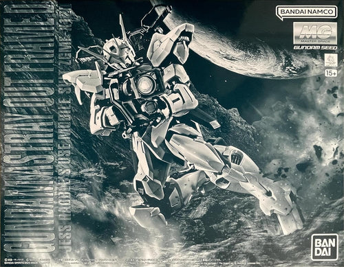 BANDAI MG 1/100 ZGMF-X12D Gundam ASTRAY Outframe D JESS RABBLE's USE Mobile Suit Gundam