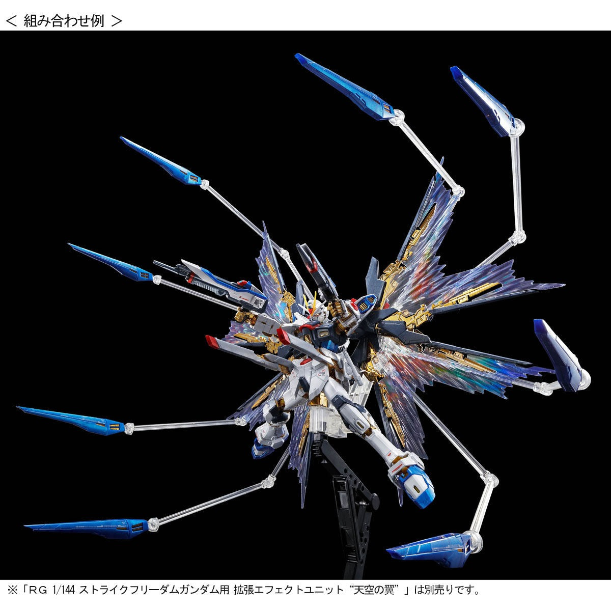 RG 1/144 Strike Freedom Gundam [Titanium Finish] Limited Gunpla