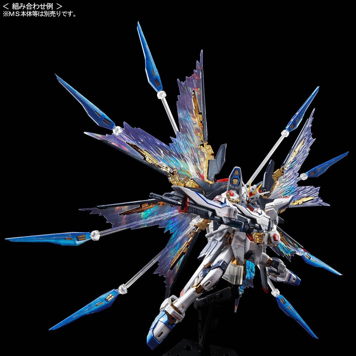 RG 1/144 Strike Freedom Gundam Expansion Effect Unit “Wings of the Skies” [Reissue] | Premium Bandai Exclusive