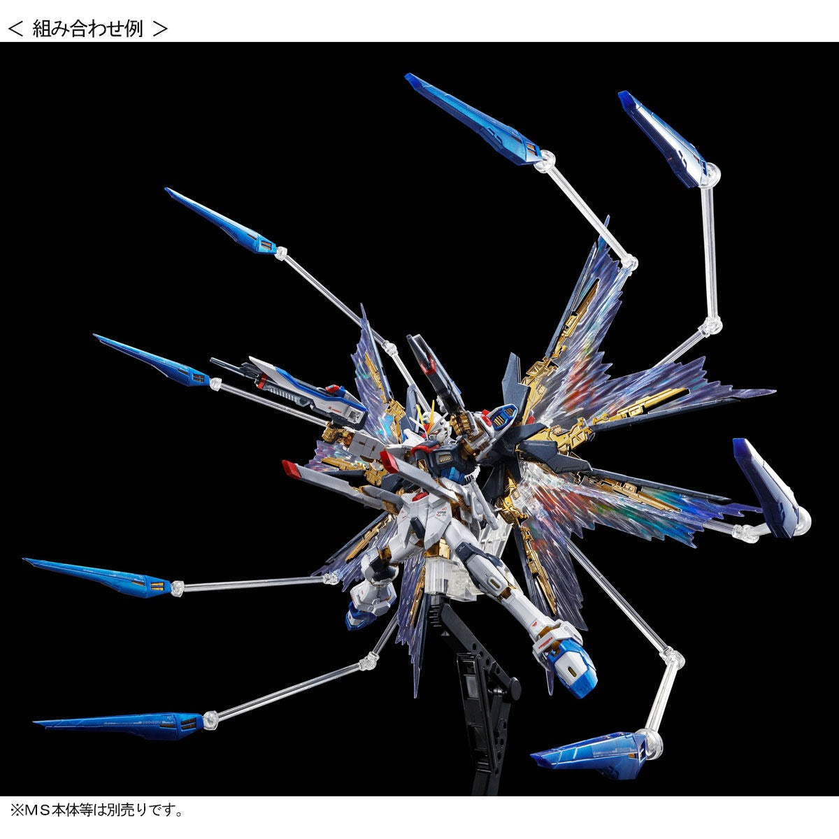 RG 1/144 Strike Freedom Gundam Expansion Effect Unit “Wings of the Skies” [Reissue] | Premium Bandai Exclusive