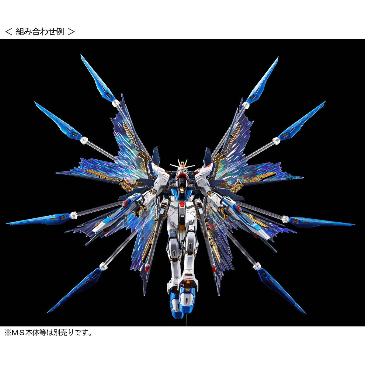 RG 1/144 Strike Freedom Gundam Expansion Effect Unit “Wings of the Skies” [Reissue] | Premium Bandai Exclusive