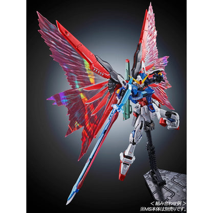 RG 1/144 Destiny Gundam Expansion Effect Unit "Wings of Light"