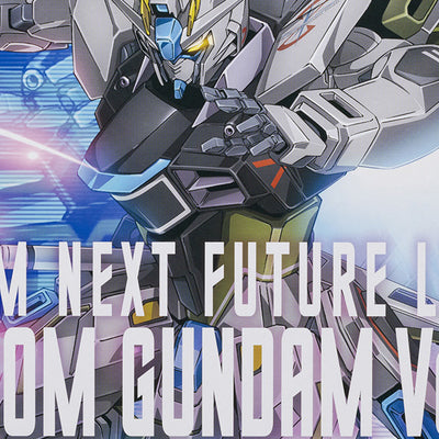 GUNDAM NEXT FUTURE Limited MG 1/100 Freedom Gundam Ver.2.0 (Real Type Color Ver.)