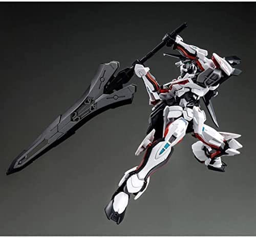 hg 1/144 road astray ω