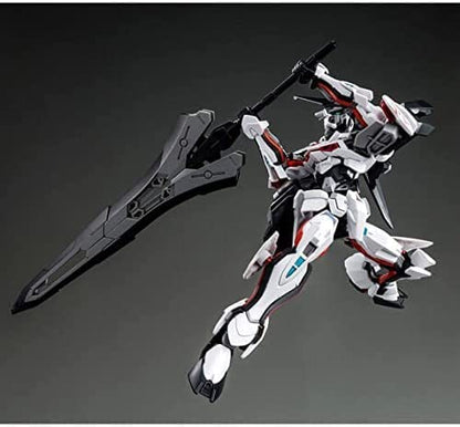 hg 1/144 road astray ω