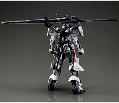 hg 1/144 road astray ω