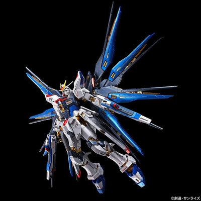 RG 1/144 Strike Freedom Gundam [Titanium Finish]