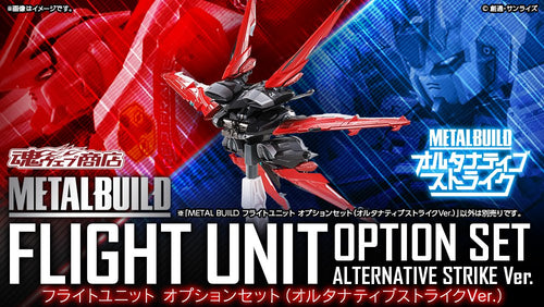 METAL BUILD Flight Unit Option Set (Alternative Strike Ver.)